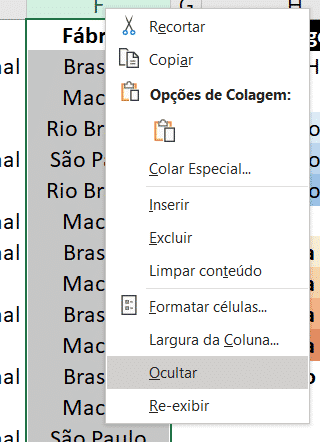 Relatório Automático para Impressionar com suas planilhas no Excel 16 Ocultando a Coluna F