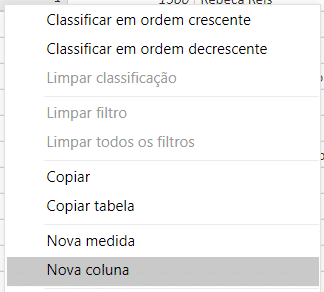 Opção para criar uma Nova Coluna