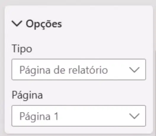 Menu Opções onde está selecionada a Página 1 como página para o tooltip