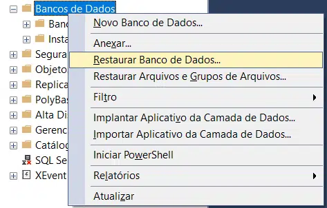 Opção para buscar o banco de dados