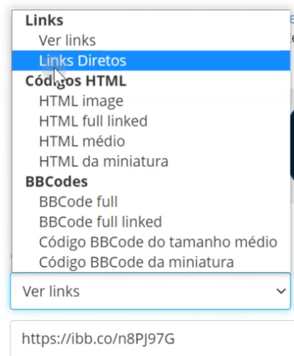 Obtendo o link da imagem para utilizar no Power BI