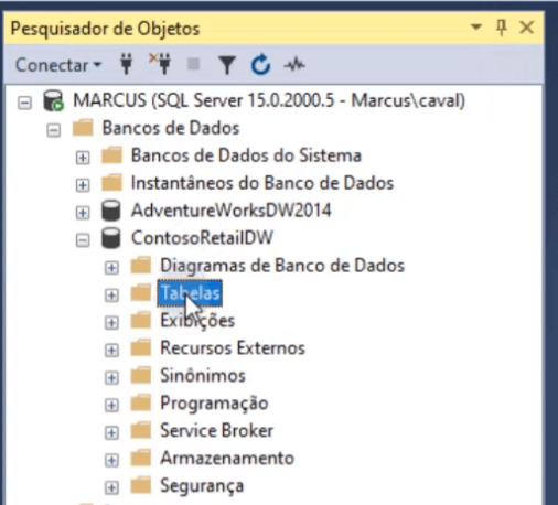 Visualizando os bancos de dados no programa