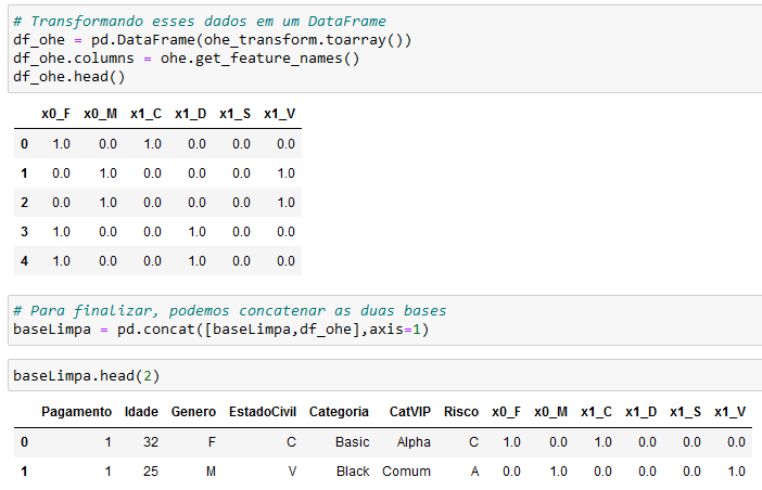 Transformando o array em Data Frame e concatenando a base de dados