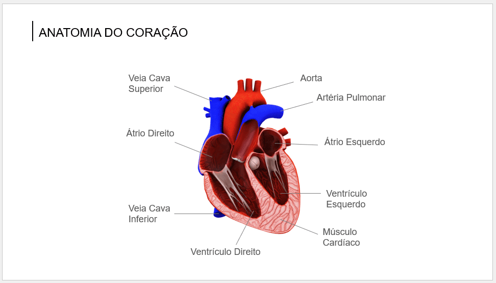 Objetos 3D no PowerPoint - Passo a Passo para Usá-los! 2 1 8