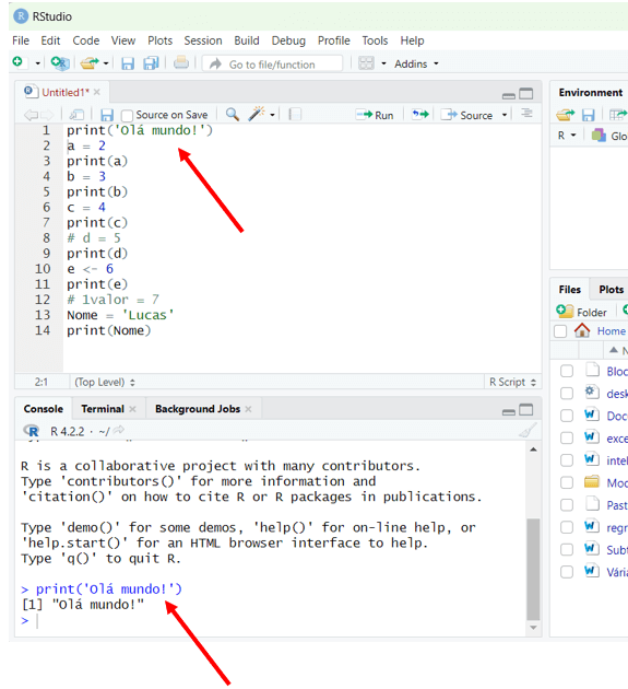 Primeiros Passos em R e RStudio
