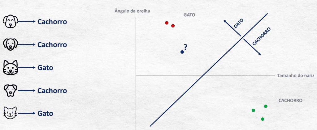 Previsão.