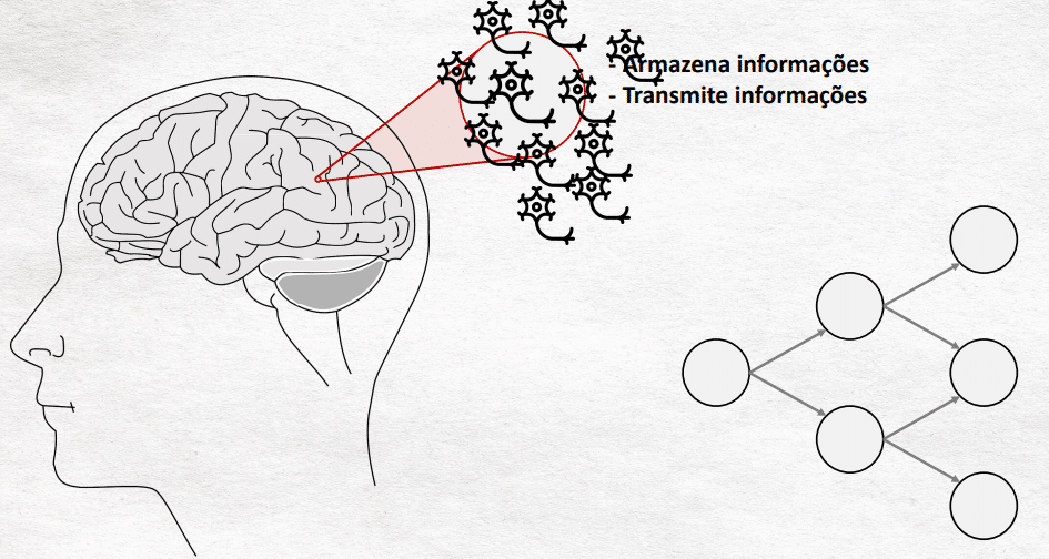 comparando as redes neurais