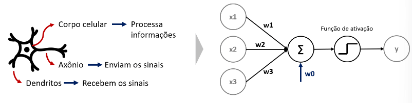 O Perceptron