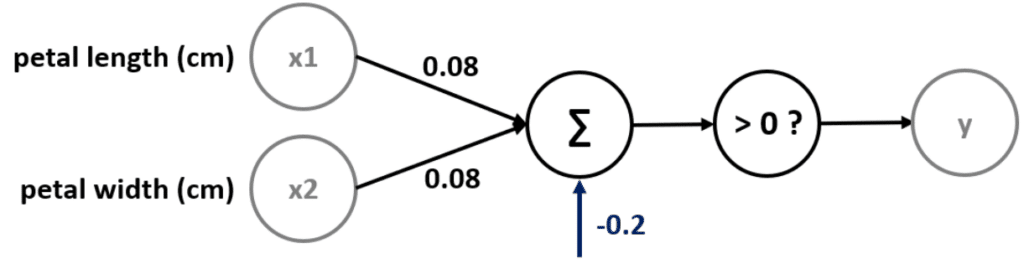 O Perceptron