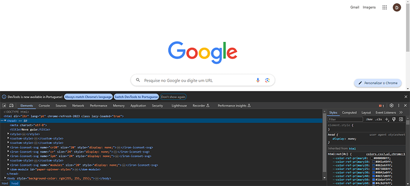 Curso de Introdução ao HTML e CSS – Criando Página do Google 17 Ferramentas do Programador