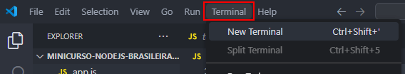 Iniciando o terminal