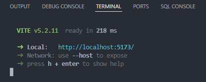 comando npm run dev