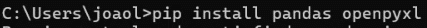 pip install pandas openpyxl