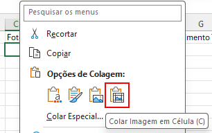 Colar Imagem em Célula