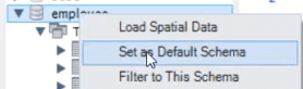 opção Set as Default Schema