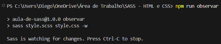 comando npm run observar