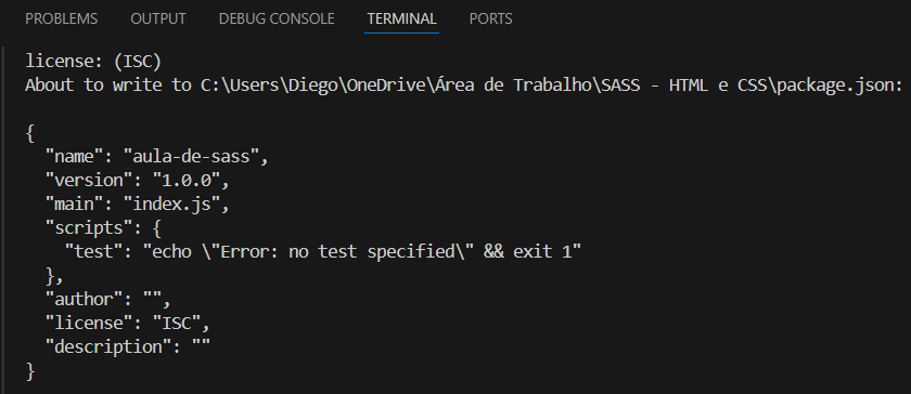 projeto npm criado