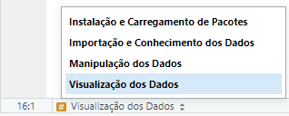 Seções no R e Organização do Código
