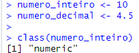 Curso Básico de R: Comece a Programar e Analisar Dados com R! 13 Tipo de variável em R com função class()