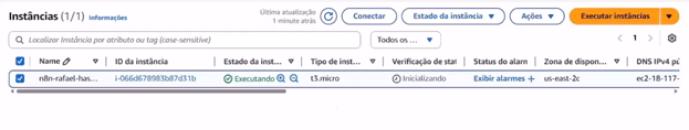 Lista com suas instâncias EC2