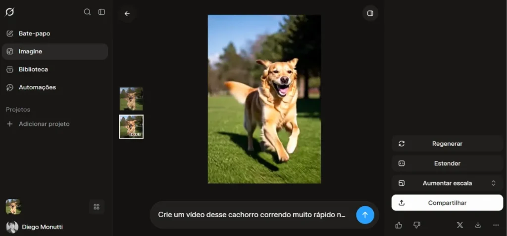 print da tela de histórico do Grok mostrando o vídeo do cachorro gerado a partir da imagem